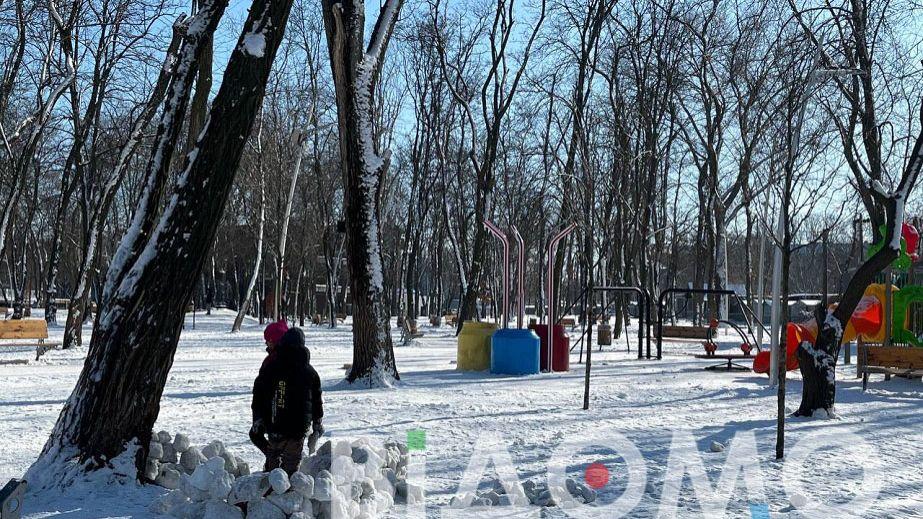 In Dnipro, children are building snow forts in the park (PHOTOS, VIDEOS).